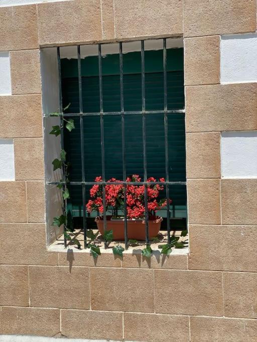 El Rincon Del Rey Apartamento Torrejon del Rey Exterior foto